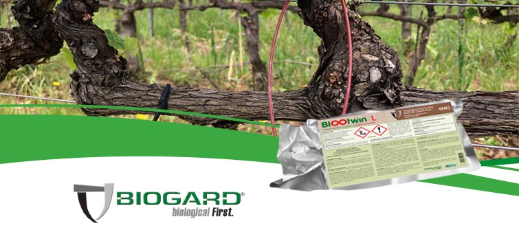 biogard DE - Freisetzungsversuch mit Biootwin® L+ im Wein