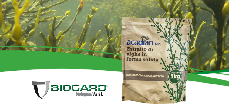 Biogard EN - Sbalzi di temperature: la soluzione da Acadian MPE, il biostimolante a base di alghe