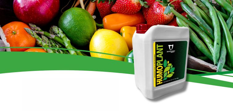 Biogard - HUMOPLANT: fertilità del terreno e piante performanti con la Leonardite