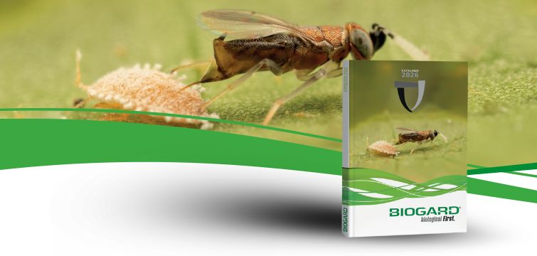 copertina catalogo 2026