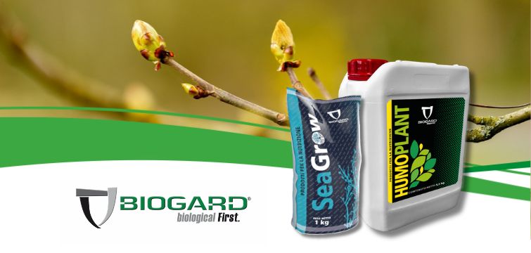 Biogard - Humoplant & Seagrow: la soluzione per la ripresa vegetativa