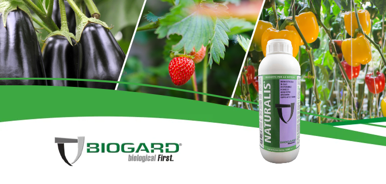 Biogard - Naturalis® + Orius + Fitoseide = strategia integrata contro tripidi e ragnetto rosso